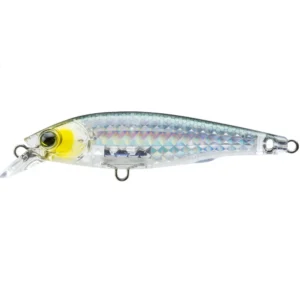 Yo-Zuri 3DR-X Jerkbait (F) 80mm (R1436-PGSH)