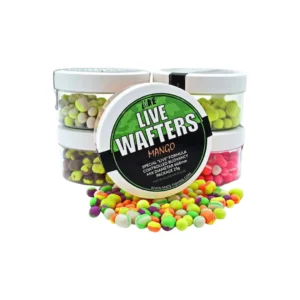 MATE LIVE WAFTER VJESTACKI MAMAC