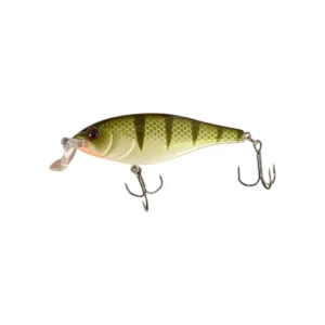 C LINE SHALLOW RIDER – PERCH VARALICA