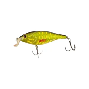 C LINE SHALLOW RIDER – PIKE VARALICA